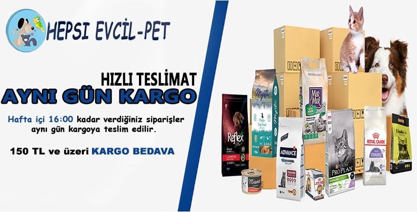 D358 Kuru Kafalar Akvaryum dekoru