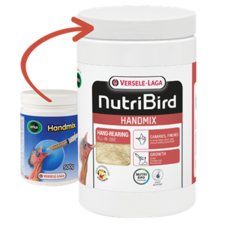 Verselelaga Orlux Handmix Yavru Süs Kuşlar Tam Yemi 500 Gr.