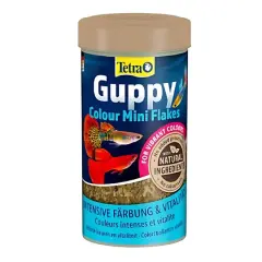 Tetra Guppy Clour Mini Flakes  Lepistes Pul  Balık  Yemi 250 ml