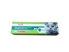 BioPetActive Vitalicat Paste Kediler için Vitamin 100ml