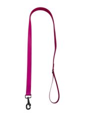 Gece Görüşlü (Fosforlu ) 2,5 cm Boyun Tasma 55 cm  Mix