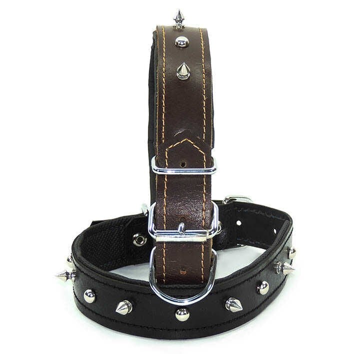 Deri Boyun Tasması L