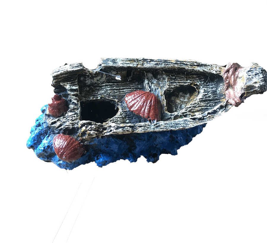 D113 Kayık