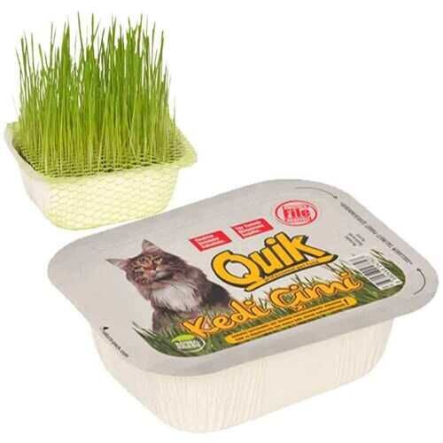 Quik Doğal Kedi Çimi Fileli
