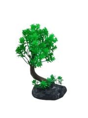 970 Bonsai Ağaç Akvaryum Bitki 10 lu