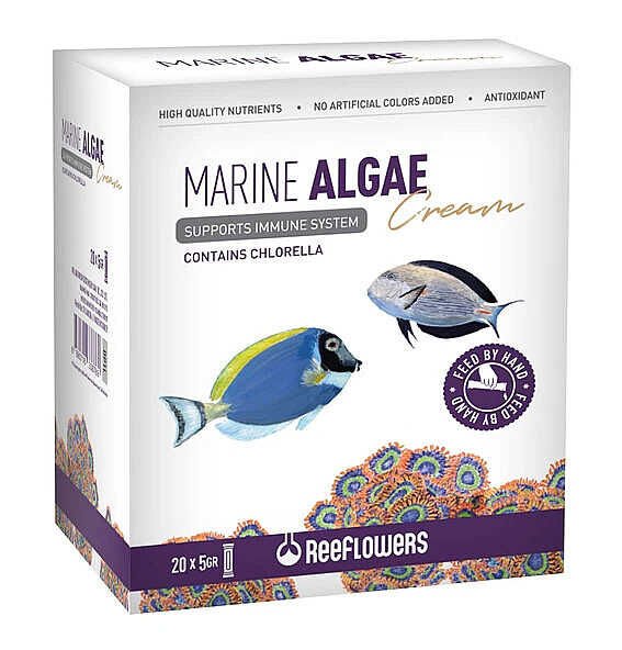 Marine  Algae  Cream 5Grx20