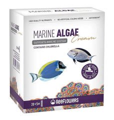 Marine  Algae  Cream 5Grx20