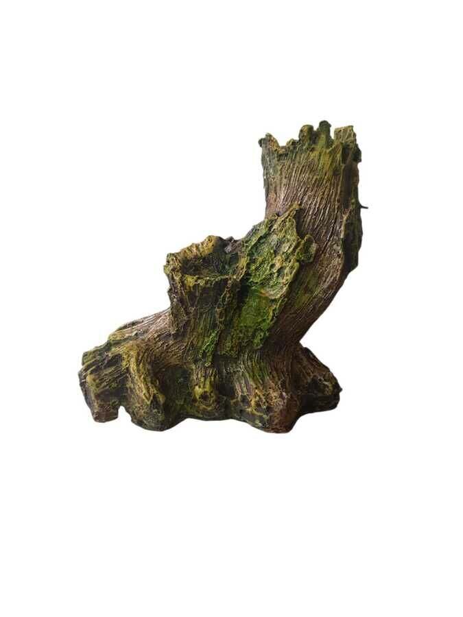 D215 Ağaç Kökü Büyük
