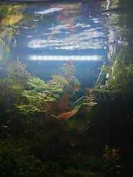 AquaSlim Serisi Akvaryum Led Aydınlatma 15 cm Beyaz