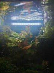 AquaSlim Serisi Akvaryum Led Aydınlatma 15 cm Beyaz