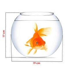 Büyük Boy Bahçe Fanus 6 lı