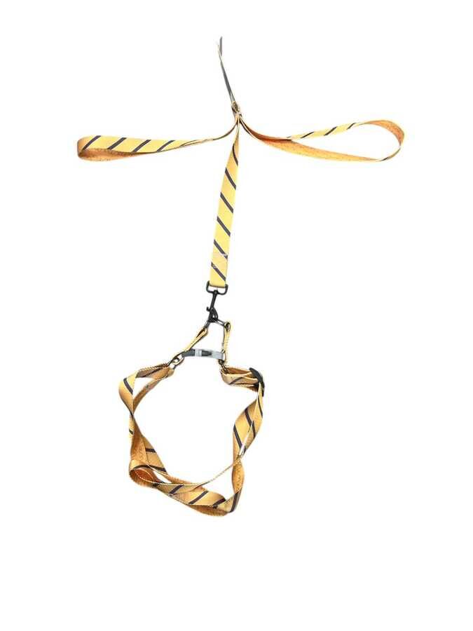 Köpek Göğüs Tasması ve Gezdirme  2,5CM 120 CM