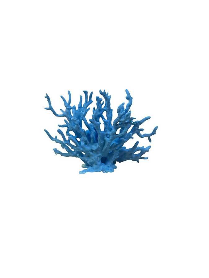Dal mercan dekor 17 cm x 5,5 cm x 12 cm