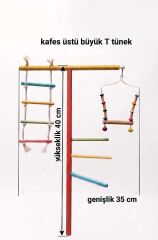 Büyük T Tünek