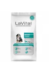 LaVital Büyük Irk Yavru Kuru Köpek Maması (Maxi Puppy) Kuzu etli 15 Kg