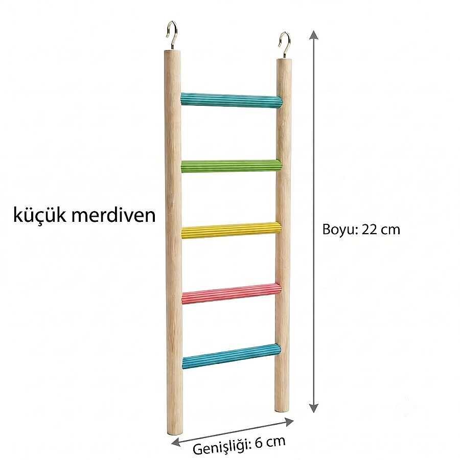 Küçük Merdiven kuş oyuncağı