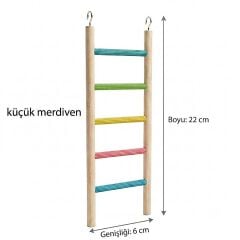 Küçük Merdiven kuş oyuncağı