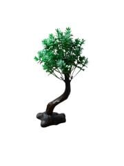 1416  Bonsai Ağaç Akvaryum Bitki