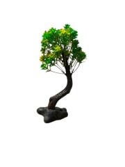 1416  Bonsai Ağaç Akvaryum Bitki
