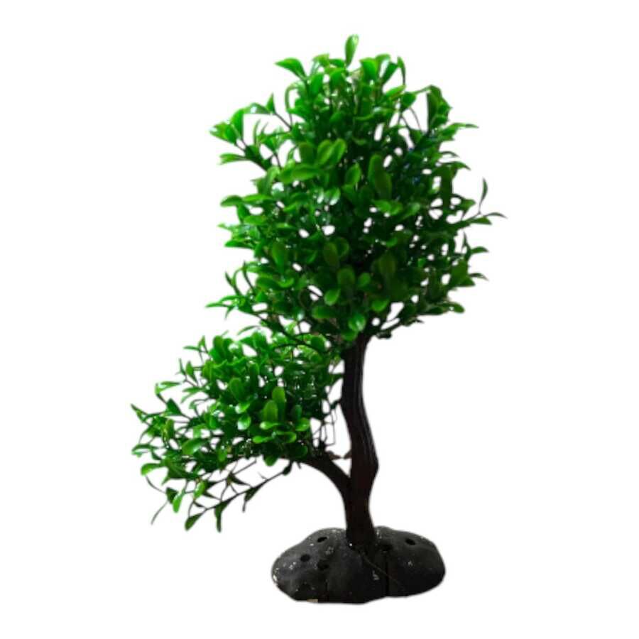 1416  Bonsai Ağaç Akvaryum Bitki