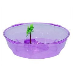 Exotic Kaplumbağa Bahçesi