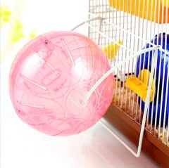 RJ-107 Hamster Egzersiz Topu 4 in 1