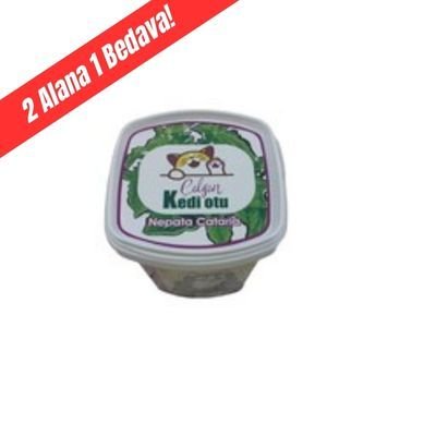 Kedi Çimi Kedi Nanesi