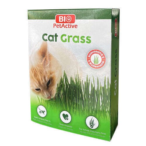 BioPetActive Kedi Çimi