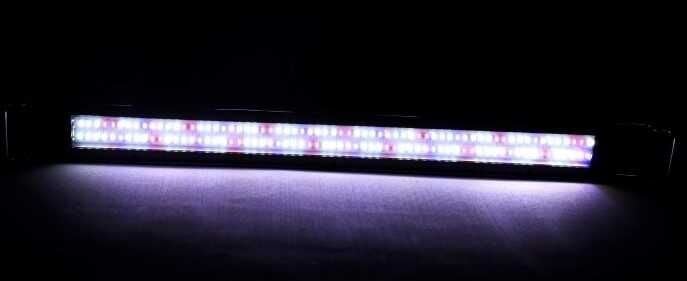 Aqualed Plant 2 Sıralı Armatür A- 20cm