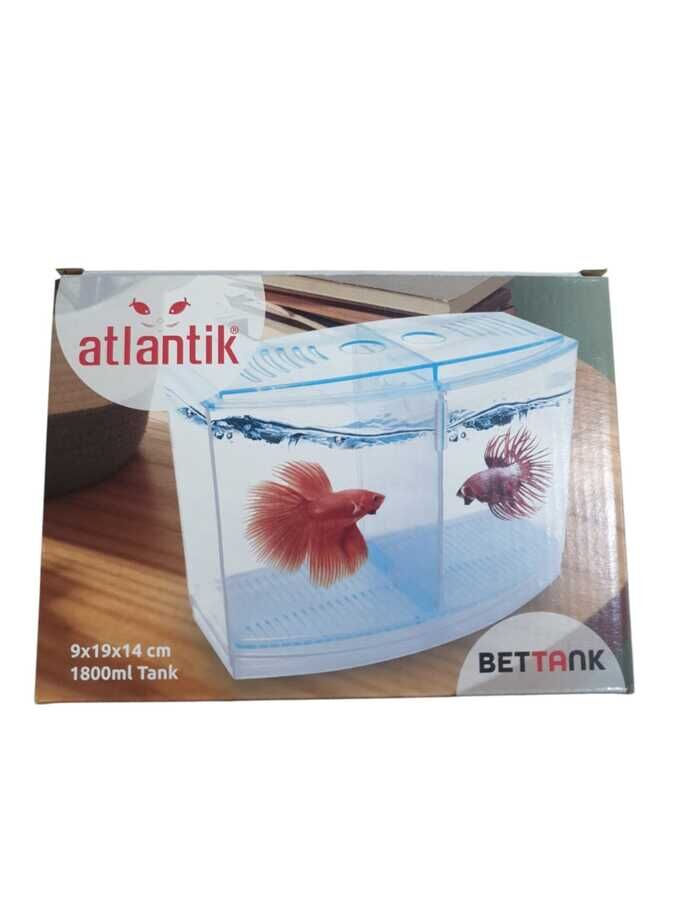 Atlantik Betalık pembe-mavi-Yeşil