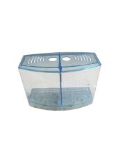 Atlantik Betalık pembe-mavi-Yeşil